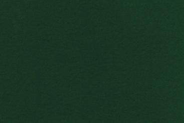 Wärmevorhangstoff Alaska - Tanne - 1,0 Meter 