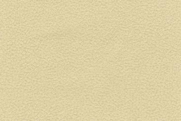 Wärmevorhangstoff Kunstleder Two Tone - Old Texas Champagner