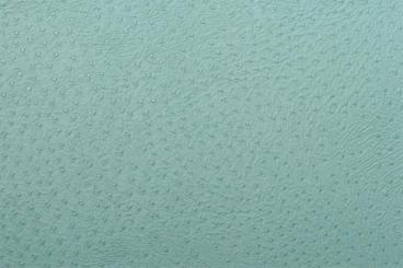 Baby Straußenleder Imitat - Premium Hellgrün