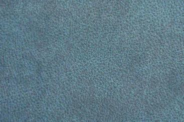 Kunstleder - Pet Friendly Dusty Mint