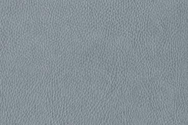 Echtleder-Haut Dallas - Haut ab 5 qm - Grau 