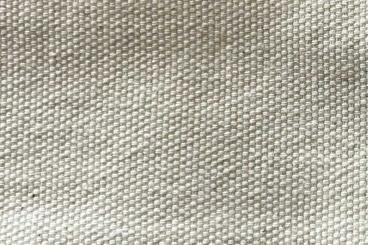 Baumwoll-Leinwand Premium - 280 cm - Natur - 1,0 Meter 