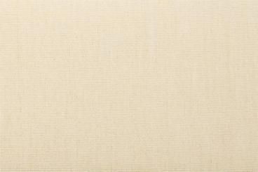 Markisenstoff 320 cm - Spain Sun - Uni - Champagner - 1,0 Meter 