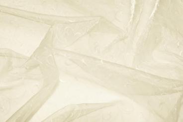 Organza Stoff mit Ranke bestickt - Champagner - 2,0 Meter 