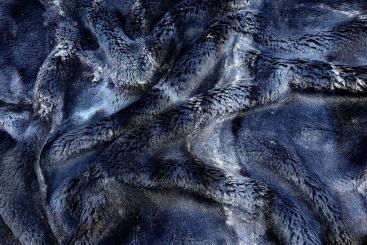 Fellimitat - Night Witch 