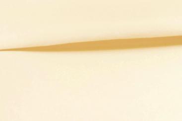 Segeltuch super leicht - extra wasserabweisend - Uni Champagner