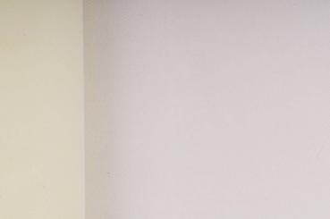 Tüll - Creme - 2,0 Meter 