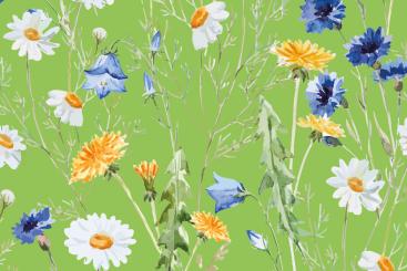 Voile-Gardinenstoff - Margeriten-Wiese - Grün 