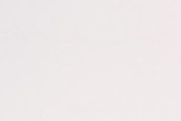 Lycra Tanzkleiderstoff Wollweiß