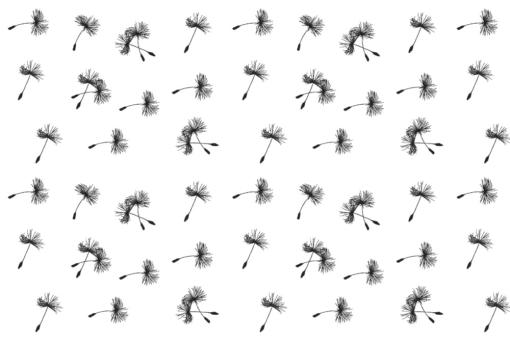 Blackout - Pusteblume - Weiß/Schwarz - 2,0 Meter