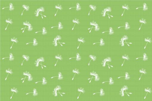 Blackout - Pusteblume - Grün/Weiß - 1,0 Meter