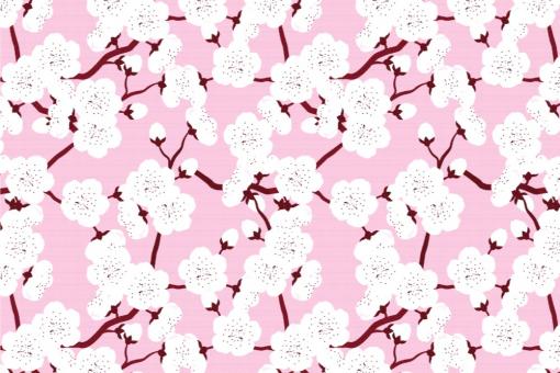 Pannesamt - China Kirschblüte