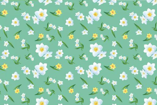 Satin - Osterglocken-Zauber