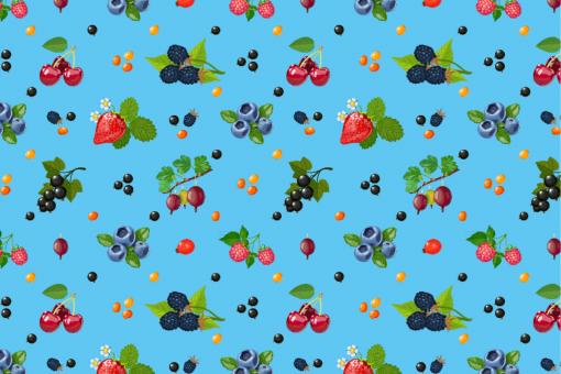 Outdoorstoff - Garten-Beeren