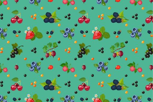 Outdoorstoff - Garten-Beeren