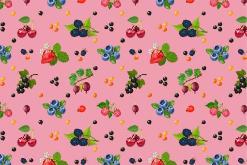 Outdoorstoff - Garten-Beeren