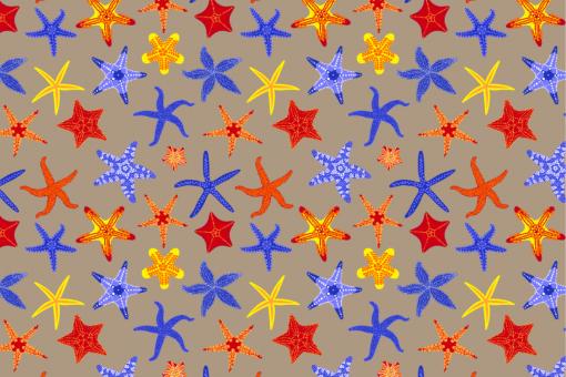 Outdoorstoff - Seesterne