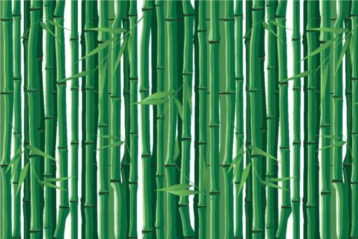Outdoorstoff - Bambus Borneo