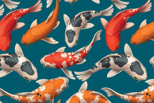 Frottee-Fleece - Koi-Karpfen