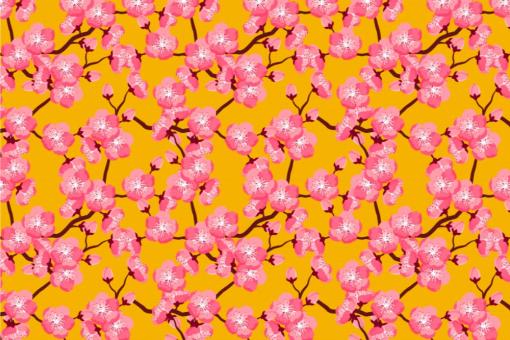 Blackout schwer entfl. -  China Kirschblüte