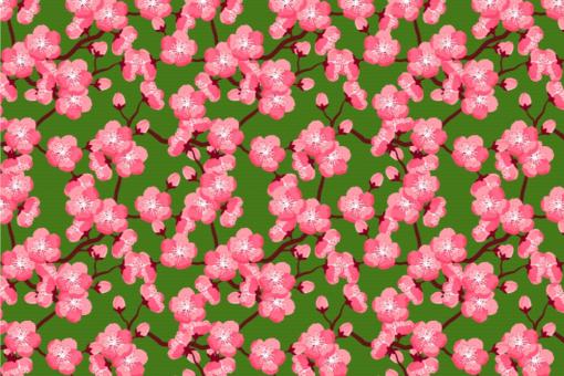 Blackout schwer entfl. -  China Kirschblüte