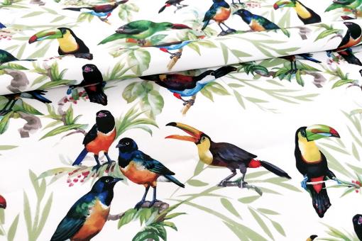 Outdoorstoff Paradiesvögel