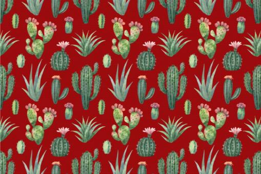 Nano-Softshell - Kaktus-Liebe