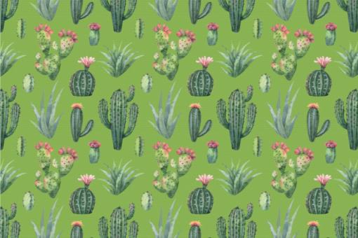 Nano-Softshell - Kaktus-Liebe