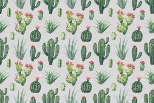 Nano-Softshell - Kaktus-Liebe