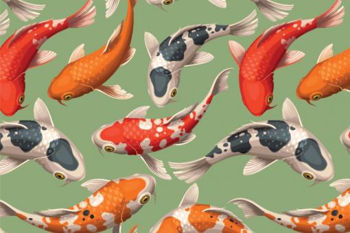 Outdoorstoff - Koi-Karpfen