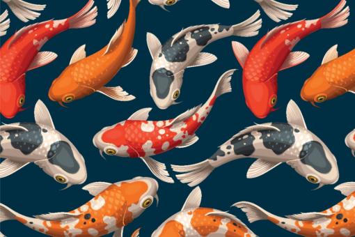 Frottee-Fleece - Koi-Karpfen
