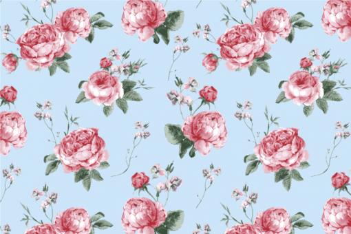 Blackout - Rosen-Nostalgie