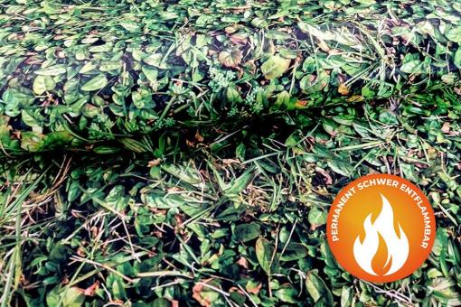 Blackout perm. schwer entflammbar - Waldboden