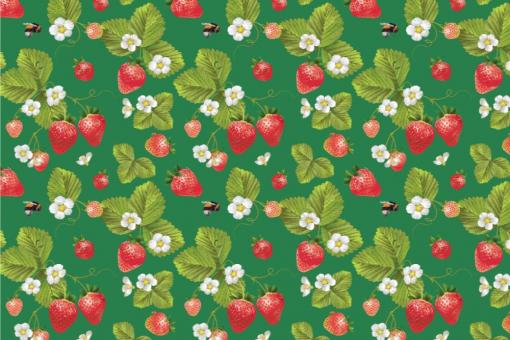 Outdoorstoff - Erdbeeren