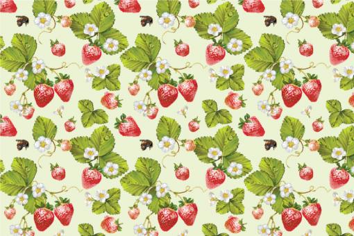 Outdoorstoff - Erdbeeren