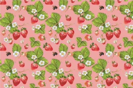 Outdoorstoff - Erdbeeren