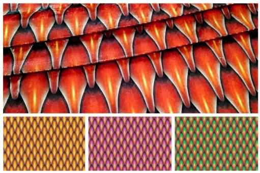 Pannesamt - Drachenhaut