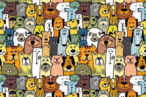 Nano-Softshell - Tier-Publikum