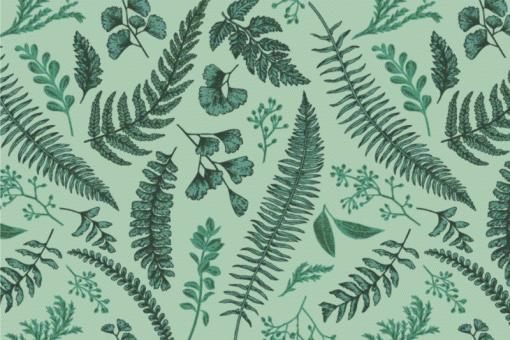 Moskitonetz Meterware -Vintage-Farn