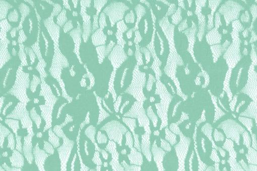 Wäsche-Spitze elastisch - Blüten - Mint - 1,0 Meter
