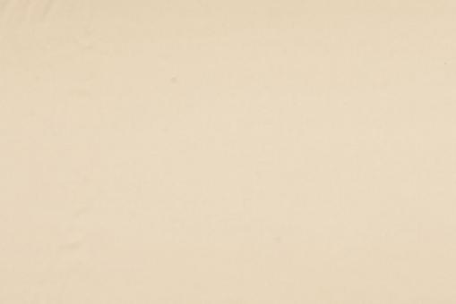 Echte Seide - Stretch - Champagner