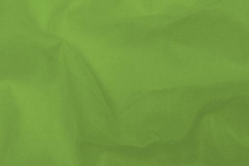 Baumwoll-Batist - leicht - Hellgrün - 2,0 Meter