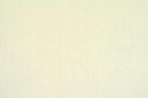 Baumwollstoff - Uni - 290 cm