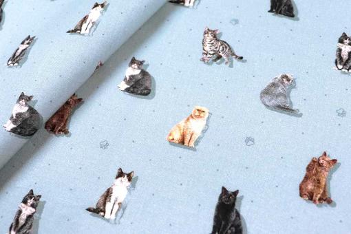 Baumwoll-Popeline - Katinka