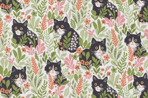 Baumwollstoff - Black Cat