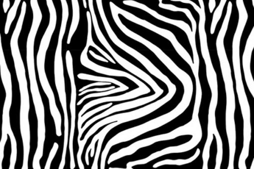Dekostoff - Zebra - 280 cm