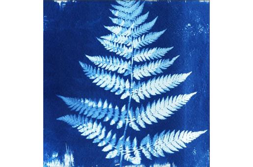 Premium-Samt - Panel - Blue Nature