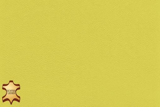 Echtleder - Florenz - halbe Haut