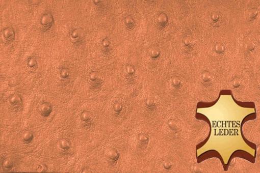 Echtleder geprägt - Strauß - ganze Haut