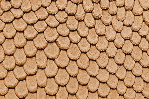 Echtleder-Stück - Viper-Prägung - Croupon